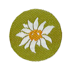 Ein rundes Abzeichen mit grünem Hintergrund in der Mitte sieht man in weiß und Gelb eine stilisierte Edelweißblüte