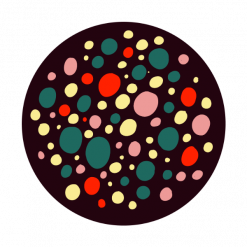 Spezialabzeichen Inklusion