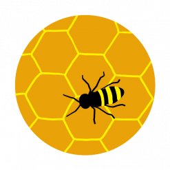 Spezialabzeichen Insektenforscher*in