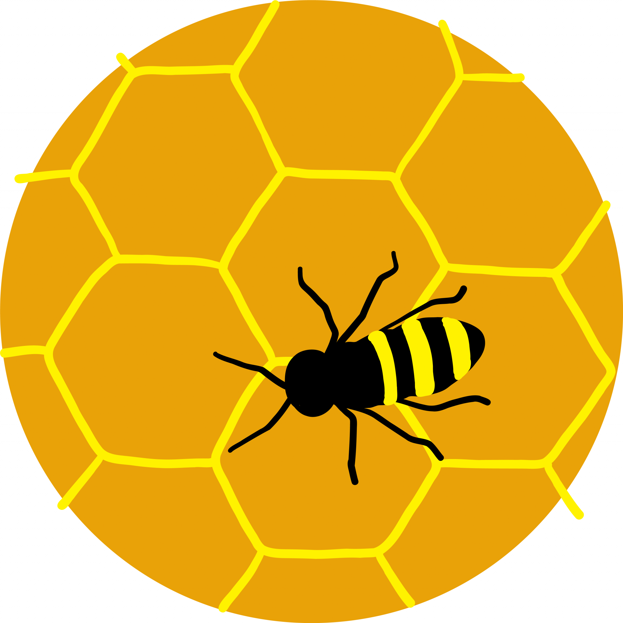 spezialabzeichen-insektenforscher-in-psg-boutique